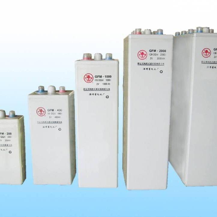 火炬蓄电池CFM-500E电厂力设备2V500AH通信基站UPS直流屏专用电源