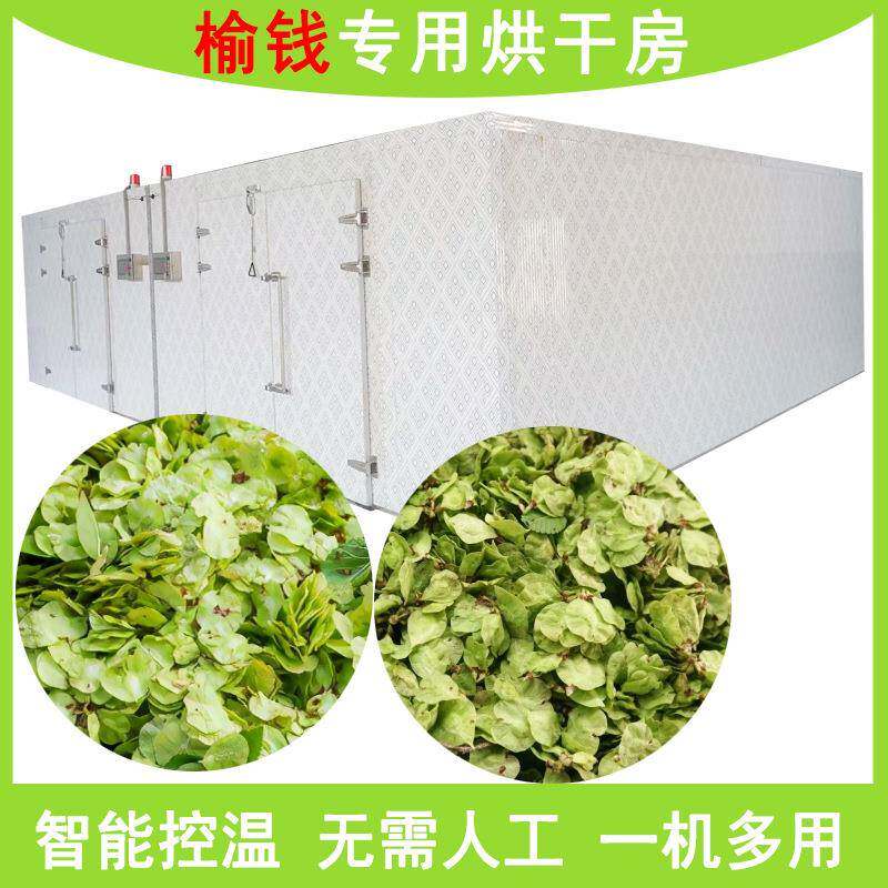 榆钱烘干机农产品烘干房榆钱儿榆钱树叶烘干箱榆实榆子脱水烘干