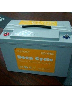 everexceed深循环AGM电池DP-1225012v250AH UPS电源蓄电池