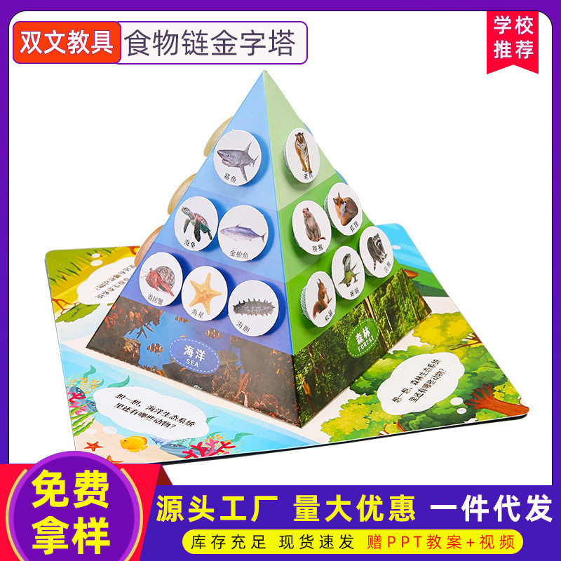 科学实验食物链金字塔diy科技小制作 儿童手工学生生物材料包套装