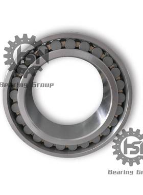 厂家现货 HSN 单列圆柱滚子轴承 20329/500 支持个性化服务