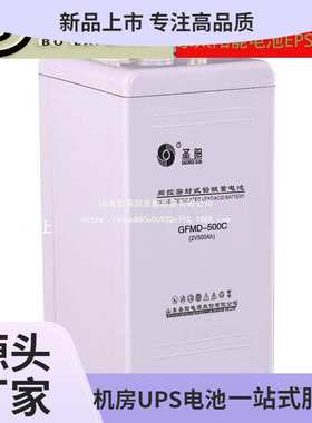 圣阳蓄电池2V300AH GFM-300C铅酸免维护发电厂通讯直流屏2V电池