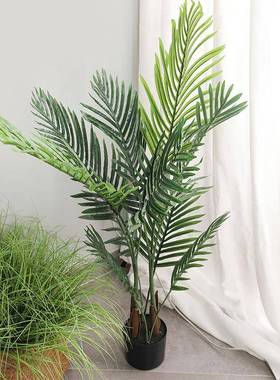 室内家居摆件仿真绿色假树盆景 商场橱窗装饰仿真落地散尾葵树