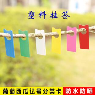 瓜果葡萄西瓜记号牌标签标记卡标记牌甜瓜分批色卡保花保果标记牌