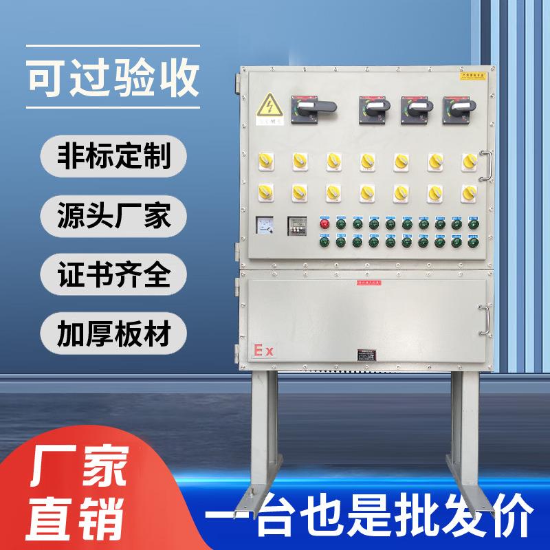 防爆配电箱接线照明动力插销控制箱防爆配电柜碳钢正压柜空箱