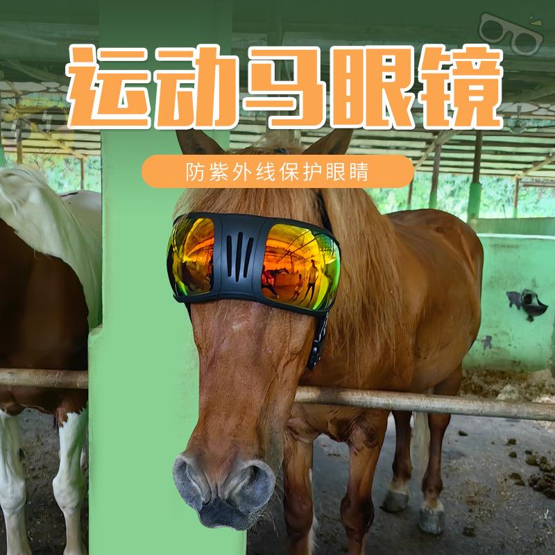 宠物眼镜防紫外线防风马眼镜炫酷时尚太阳镜现货运动宠物护目镜