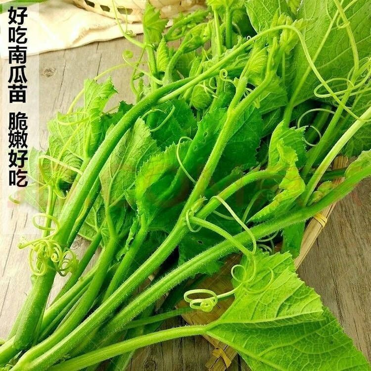 自冉香河南农家现摘南瓜尖包邮