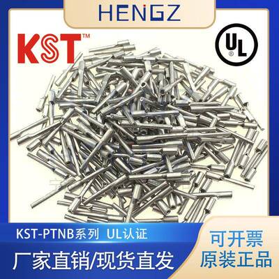 健和兴KST/PTNB1-10/1-9/PTN针型裸端子/PTNB针形46230裸端子接头