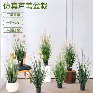 北欧仿真芦苇洋葱草油菜花猫尾巴假绿植盆栽室内客厅落地装饰摆件
