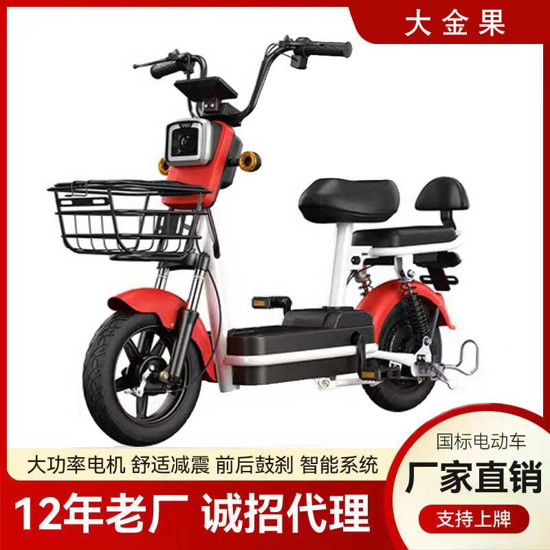 定制新国标电动车二轮电动自行车锂电池电瓶车48V成人学生代步车