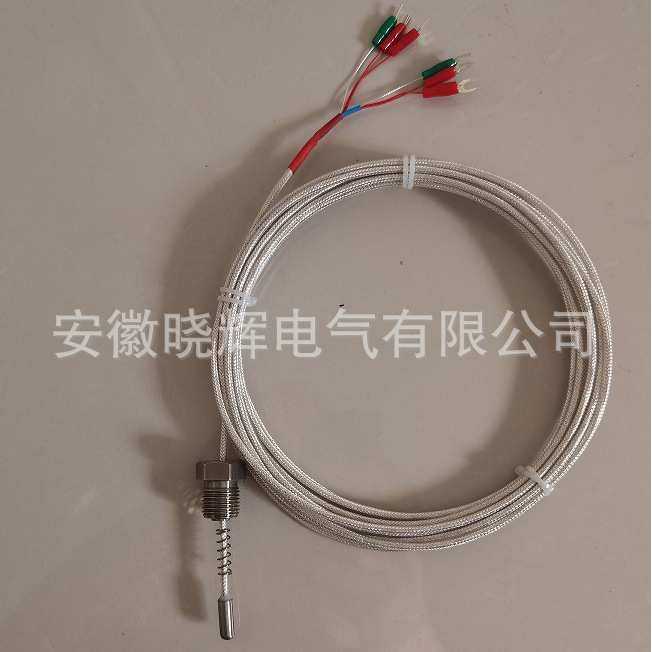 PT100双支端面热电阻WZPM2-201