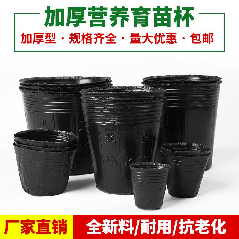 营养钵育苗袋营养袋营养杯育苗盆种植穴盆育苗杯一次性加厚塑料穴