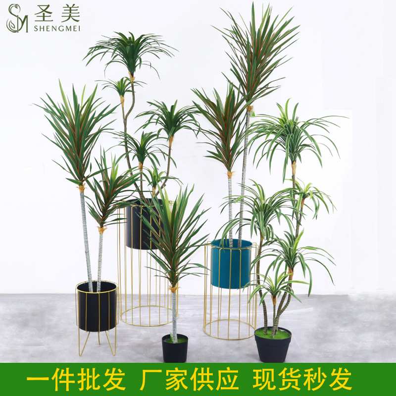 现货仿真植物巴西铁树白边龙血树北欧家居室内橱窗落地假绿植装饰