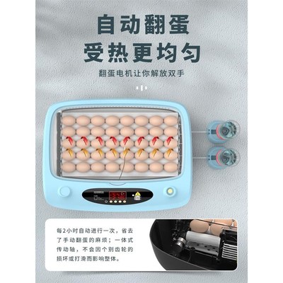 孵化器小型家用迷你芦丁鸡孵化机全自动智能鹦鹉鹌鹑小鸟蛋孵化箱