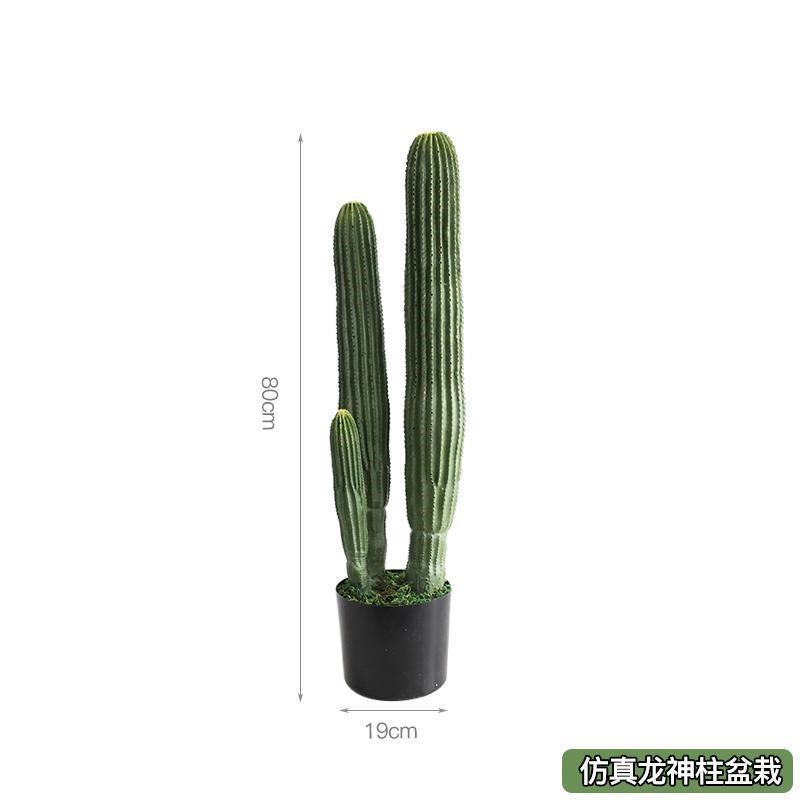 龙凤柱无刺仙人掌造景大假仙人柱热带沙漠植物巨人柱绿植装饰