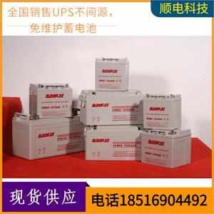 新款柏克6FM- 12V38AH UPSEPS直流屏蓄 质保三年 电动车电池