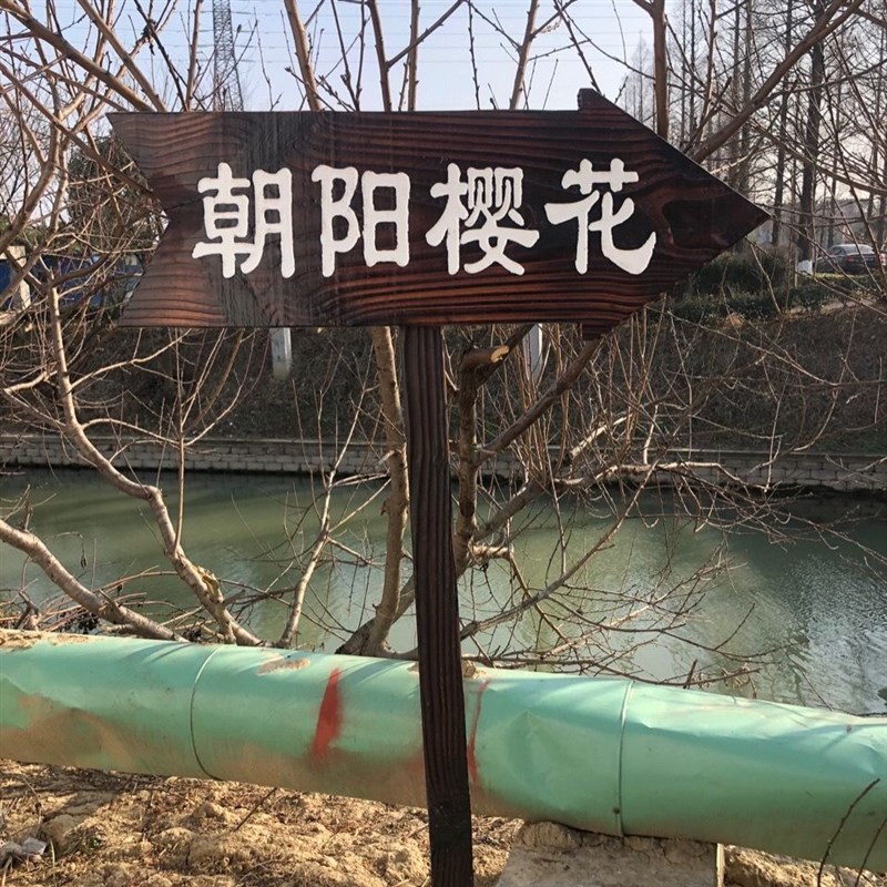 户外防腐木广告牌反光夜光指示牌立式箭头指路牌实木门匾花草牌