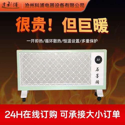 逹立浦取暖器 欧式省电暖风机电暖器石墨烯暖风机远红外加热器