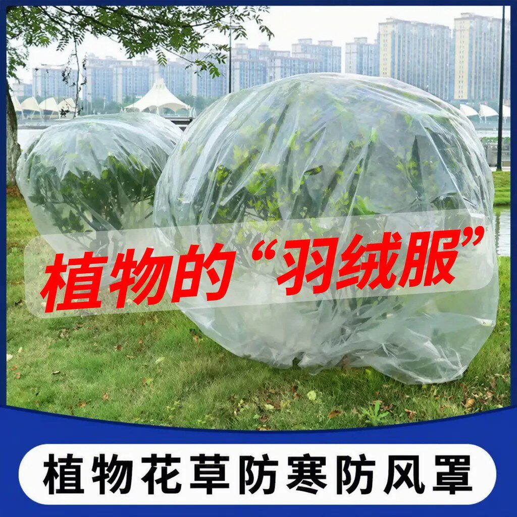 透明加厚保温膜防冻植物保温罩
