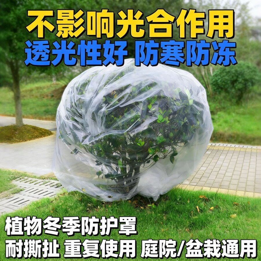 透明加厚保温膜防冻植物保温罩