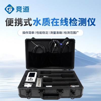 污水养殖在线手持检测仪cod氨氮余氯浊度便携式水质多参数监测仪