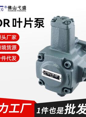 液压泵总成VDR-1A1B2A2B-1A21A31A41A52A2-1322电机叶片