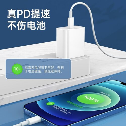 真pd20w/30w苹果充电器pd快充线