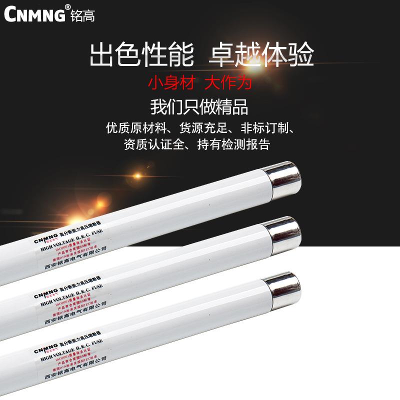 铭高高压高分段能力限流熔断器XRNP6-35/40.5KV0.5A1A2A厂家直销