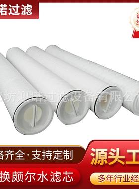 迎诺替代颇尔水滤芯大流量水滤芯PFS1001ZMH13，FA71RPFWH4