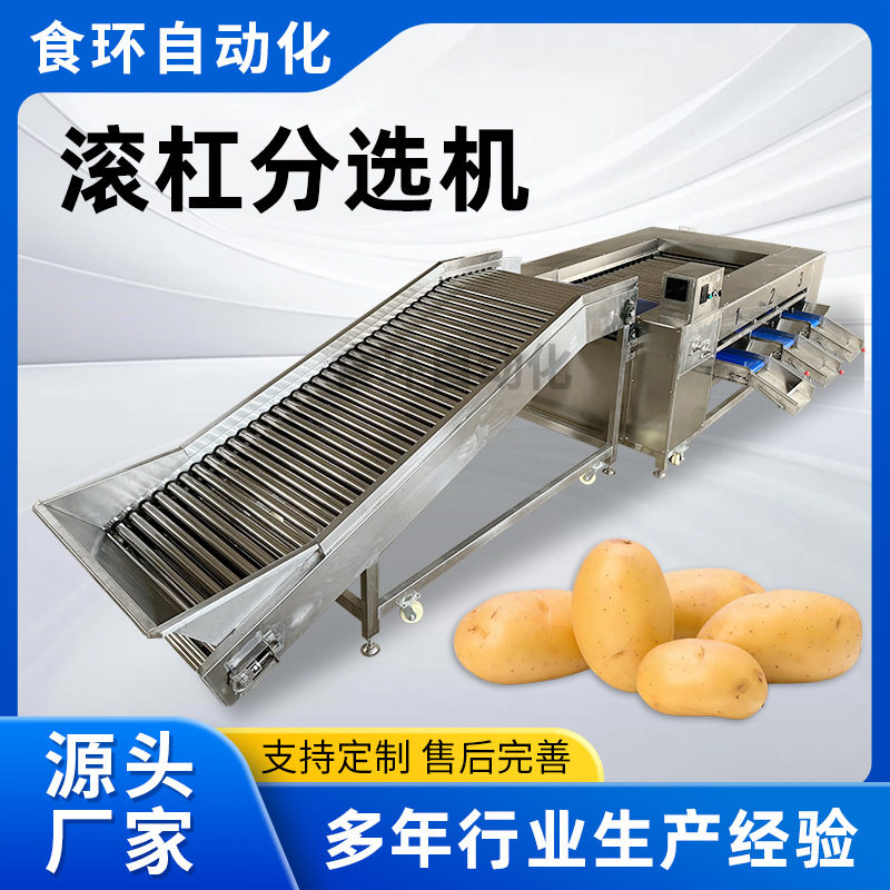 不锈钢滚杠式分选选果设备 番茄自动大小分级选果机 西红柿分级机
