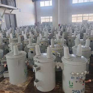 山东鲁控电力10kva 变压器 25kva油浸圆柱式