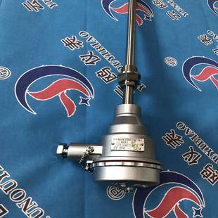 240AdIICT6 防爆热电阻WZP2 Pt00防爆热电阻WZP2 241G活络管接头式