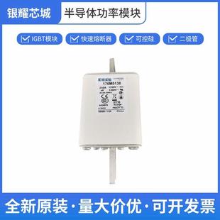 170M5138端子式 熔断器保险丝巴斯曼数量充足批次22