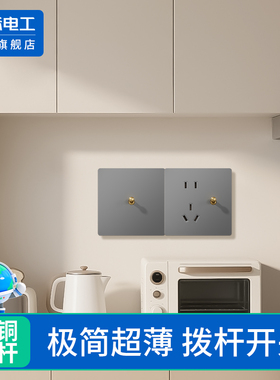 国际电工黄铜拨杆开关简约民宿三开双控四开双控开关墙面暗装86型