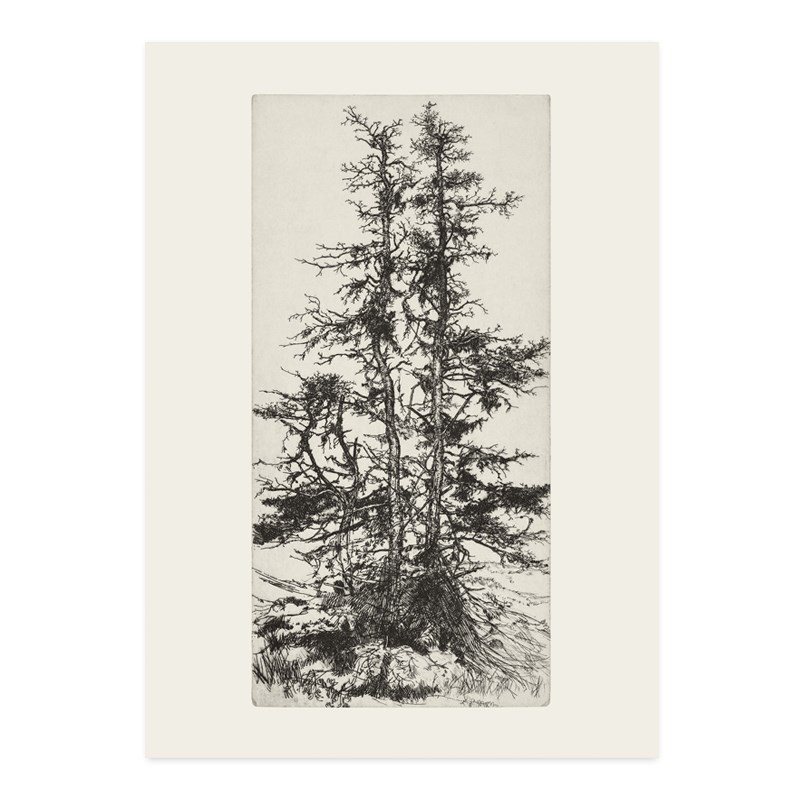 ANNA 中古Vintage树植物版画海报美式装饰画复古客厅玄关沙发背景图片