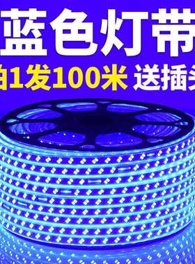220V蓝色灯条超高亮天花吊顶KTV招牌灯箱装饰长条灯蓝光LED灯带