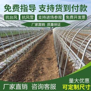 大棚钢管骨架养殖温室种植暖棚椭圆管连体大棚花卉蔬菜热镀锌全套