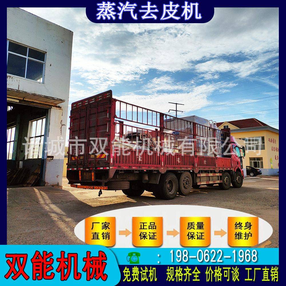 黄桃蒸汽爆皮机智能控温控压商用果蔬桃子加工成套生产机械设备