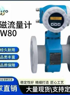 E+H现货50W80-HC0A1AA0AAAW电磁流量计316L电极硬橡胶内衬0.5%精