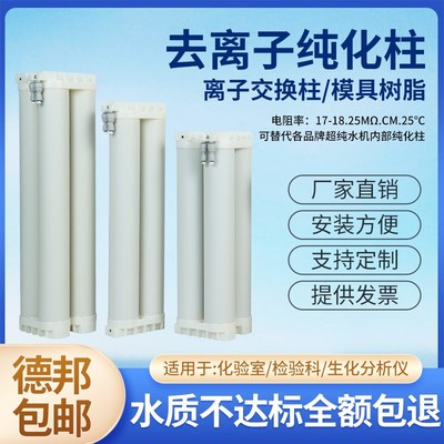 天创纯化柱 离子交换柱57.5cm 高温树脂去离子水柱超纯化柱可定制