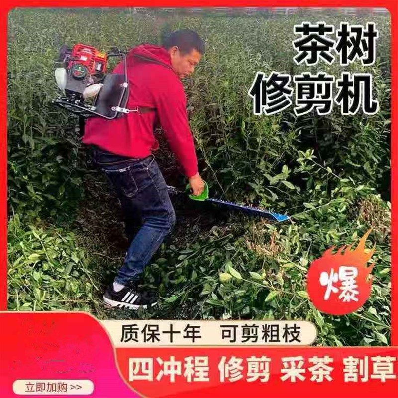 背负式单双刃重修王剪粗枝绿篱剪茶叶树修剪机修枝采茶机刀架总成