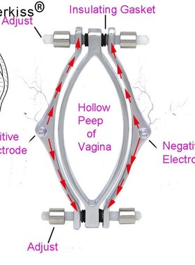 Electric Shock Labia Clips Clitoris Stimulator Clamp Pussy B