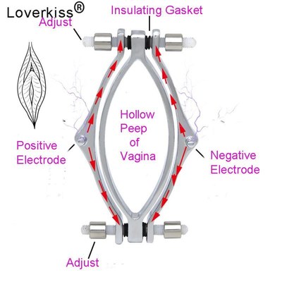 Electric Shock Labia Clips Clitoris Stimulator Clamp Pussy B