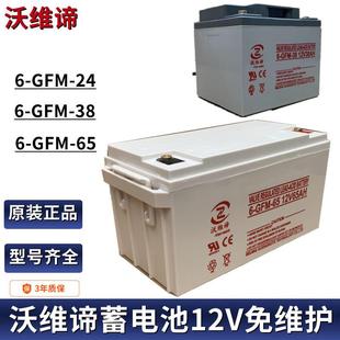 沃维谛蓄电池6 243865100AH铅酸免维护12V通信直流屏机房 GFM