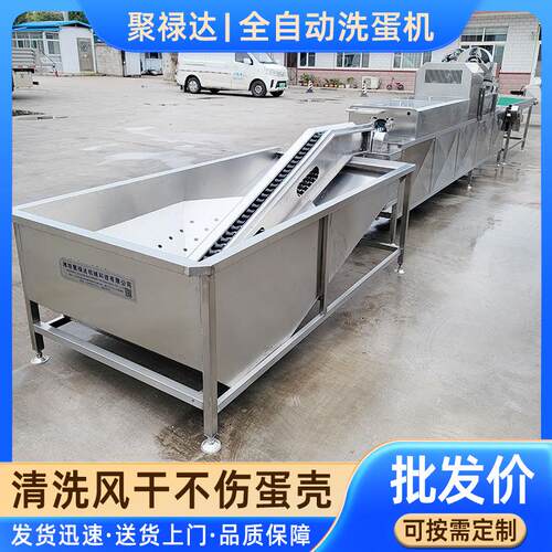 功能洗蛋机 喷淋式清多洗 不锈钢包泥蛋蛋清洗OBC加工鸡流水机线