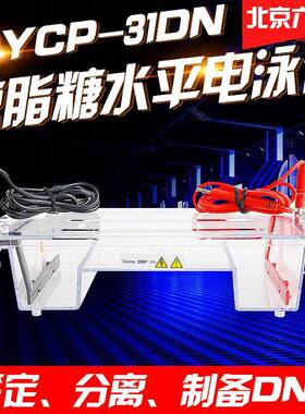 北京六一DYCP-31DN型琼脂糖水平电泳仪小号实验室核酸电泳槽