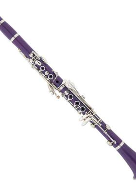 紫色单簧管演奏级乐器单簧管麦格维特乐器单簧管