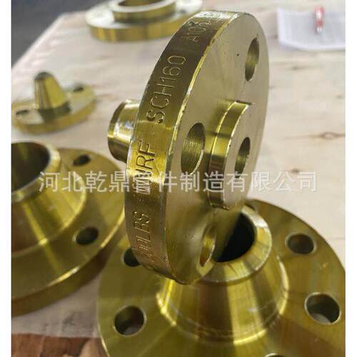 出口外贸 PN10 DN15-DN1500 锻造法兰 冲压法兰盘 304 不锈钢法兰