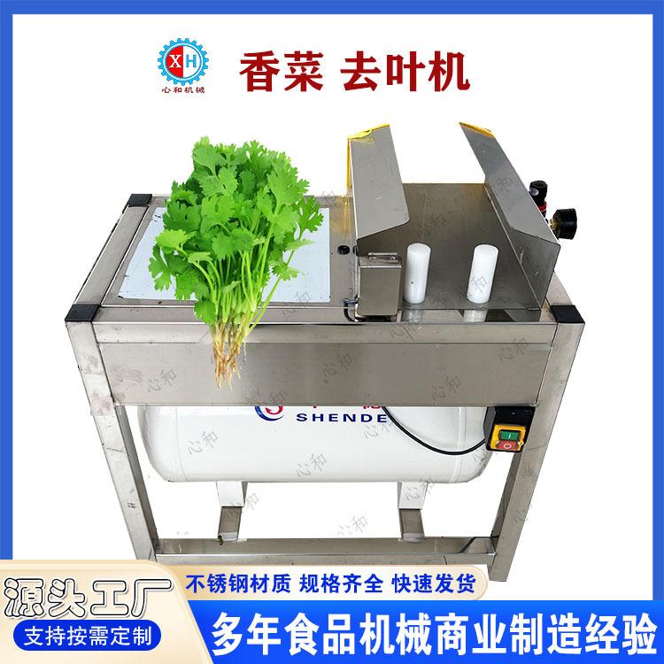 净菜厨房设备水芹菜除叶去叶机 藜蒿茼蒿叶菜摘叶不伤料效率高