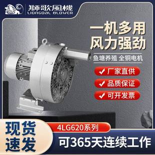 4LG620漩涡气泵大功率鼓风机污水处理微孔印刷高压吹吸用风机